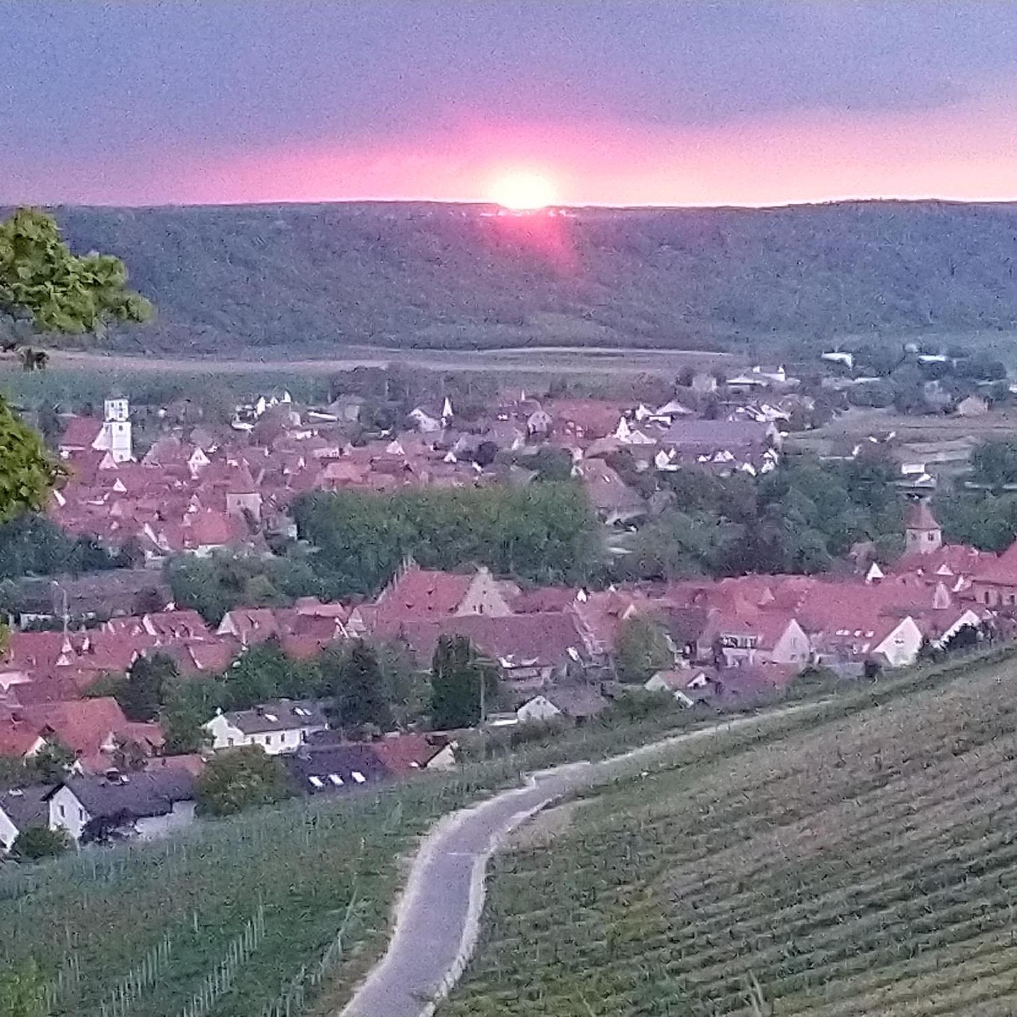 Kirschberghof Gastehaus Und Weinverkauf Sommerhausen Eksteriør billede