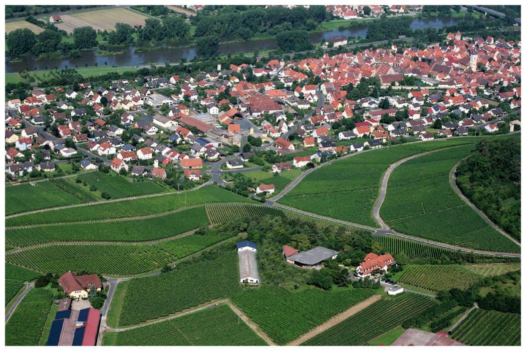 Kirschberghof Gastehaus Und Weinverkauf Sommerhausen Eksteriør billede