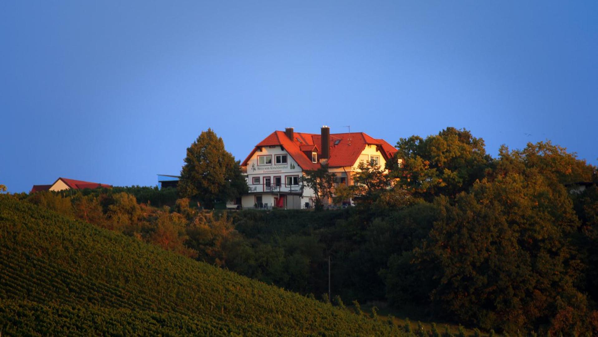 Kirschberghof Gastehaus Und Weinverkauf Sommerhausen Eksteriør billede